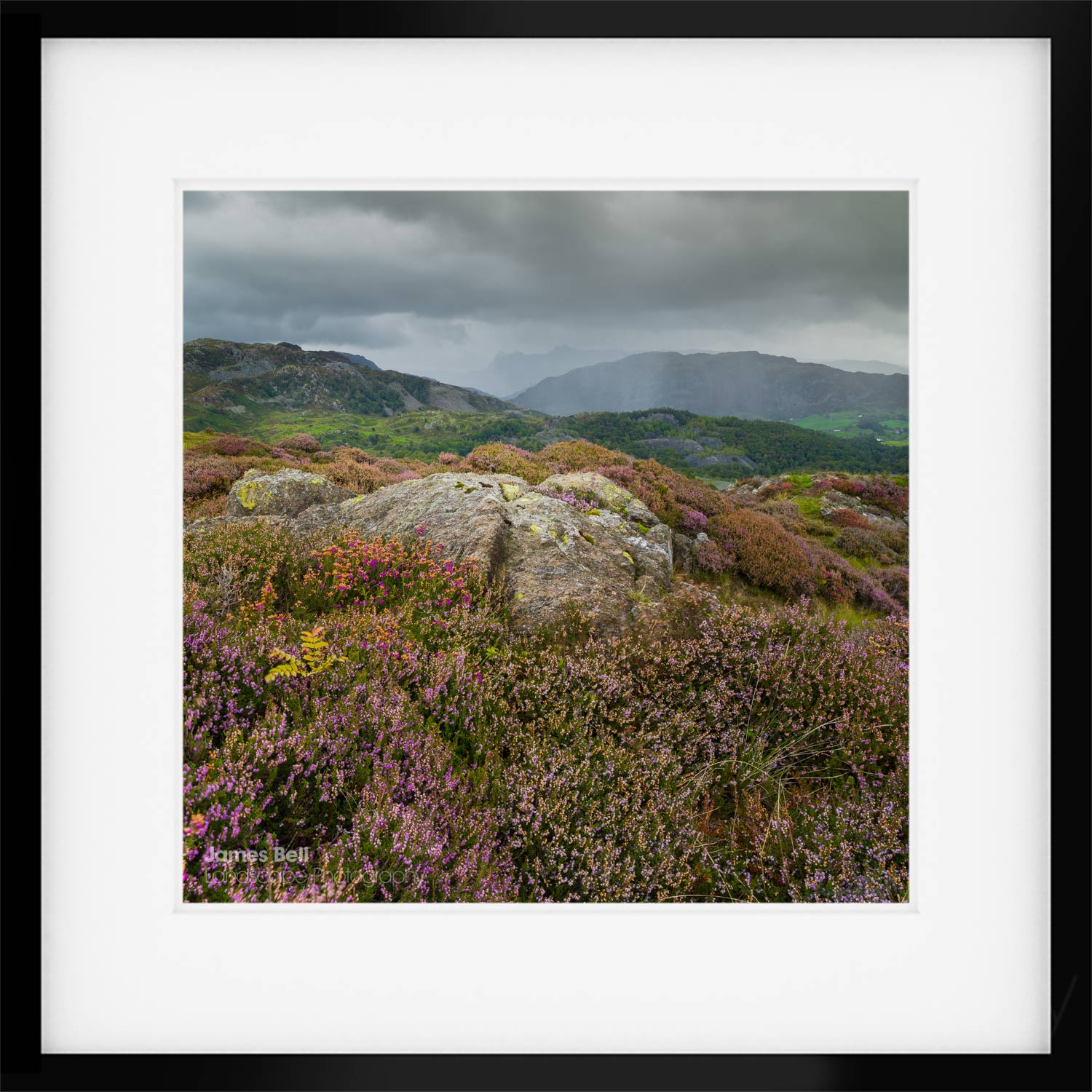 Photographing the lake district with the cambo actus-xcd
